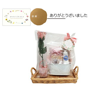 NV^ nhN[ a v[g  w AE ސE j VA [Y i yNV^ nhN[ 30mLz+ynh^Iz+yΌz+y\[vt[z4_Zbg 