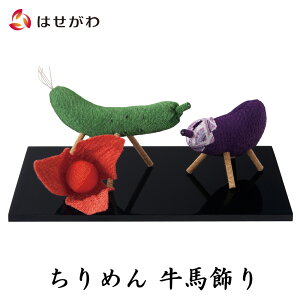 盆 ほおずきの通販 価格比較 価格 Com