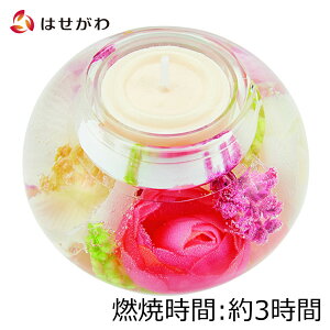 ~  䋟  Lhz_[ RpNg p NX}X Lh d̂͂yh[Cg nbs[t[c/XvOt[/t@bVt[/