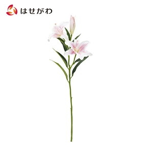 カサブランカ 花 ピンクの人気商品 通販 価格比較 価格 Com カサブランカ 花 ピンクの人気商品 通販 価格比較 価格 Com