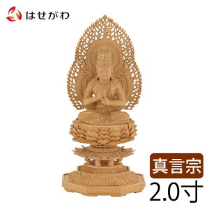 yP5{+N[|!11/1 18`6Ԍz y  cQ  㒤 p Ή D 20zd̂͂