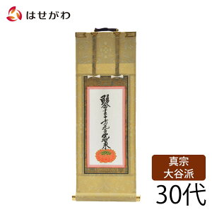 ^@Jh {莛 y^@ e e e | | d  |ʔ y  \ 30 27.5cmz d̂͂
