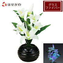 楽天市場】ルミナス 花の通販