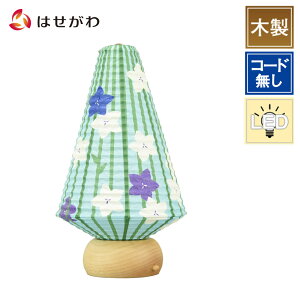 yIyVX[p[SALEz ~ V^ k ؐ ~傤 LED R[hX USB[d ~jTCY RpNg V~ ~  j[ p Mtg  Iu yV^ ~jc