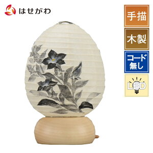 ~ V^ ؐ ~傤 LED R[hX ~jTCY RpNg V~ ~  p Mtg  Iu yV^ RR~j Wnj[z d̂͂