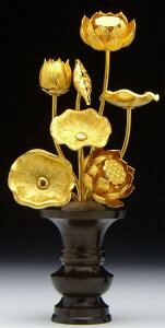 E ԁyA~z57{î݁jFԗ ʔ