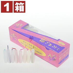 E\N [\N ƒp ~j Z 낤 Ԃ t[[\N 20 8FcF F 20R 38~ 180g 1[ p ^ Z igp XC CXސ