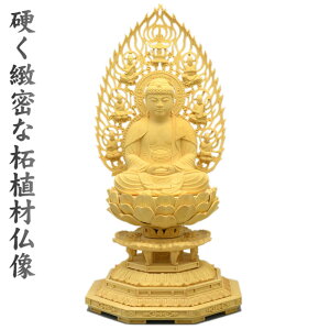   ѐA ij p 3.0 ؒnijdViЂĂjw {@ؒ