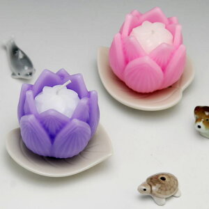 낤 [\N XC [itj@낤A Ւd dpRĎ 6  @^ XC V ʖ 49܂ł 