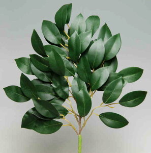 t  _Ip ̗t _ ̂ _Ip tVN i1{j d ^Cv ZIN ͂Ȃ ̗t  }V lC