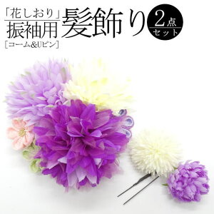 uԂvUp ԑ  / R[ Us 2Zbg  wAANZT[ U l  a  LO p fB[X 