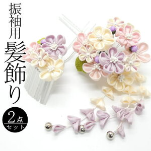 Up ԑɗ F / 񂴂 2{Zbg  {  wAANZT[ U l  a  LO p fB[X 