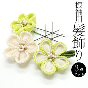 uԂvUp   / Us 3{Zbg  wAANZT[ U l  a  LO p fB[X 