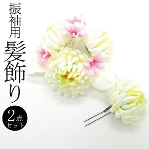 Up ԑ / R[ Us 2Zbg  wAANZT[ U l  a  LO p fB[X 