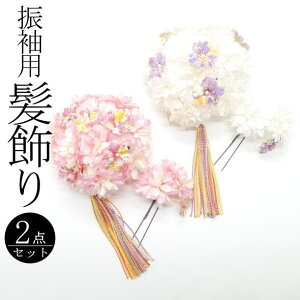 Up ԋ sN  / R[ Us 2Zbg  wAANZT[ U l  a  LO p fB[X 