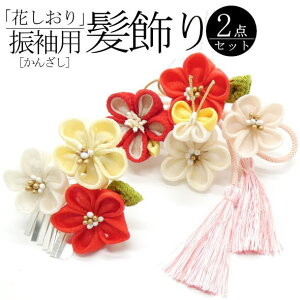 uԂvUp ԑ / 񂴂 2{Zbg {   wAANZT[ U l  a  LO p fB[X 