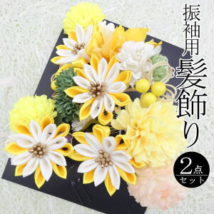 uĂƁvUp ԑ / R[ Us U 2_Zbg  wAANZT[ l  a  LO p fB[X 