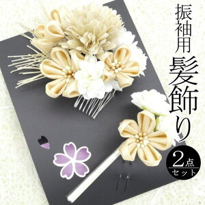 uĂƁvUp ԑ / R[ Us U 2_Zbg  wAANZT[ l  a  LO p fB[X 