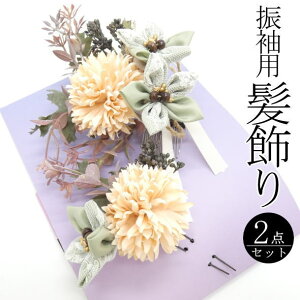 uĂƁvUp ԑ / R[ Us U 2_Zbg  wAANZT[ l  a  LO p fB[X 