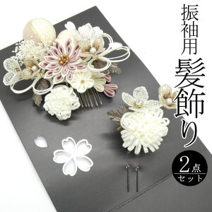 uĂƁvUp ԑ / R[ Us U 2_Zbg  wAANZT[ l  a  LO p fB[X 