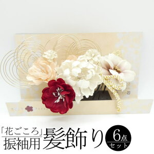 uԂv Up / Us 6{ U 6_Zbg  wAANZT[ l  a  LO p fB[X 