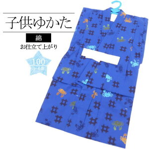 y3`4ˁz dďオq Jj  / 100cm  dďオ  j̎q q ql LbY j  čՂ ~x ԉΑ