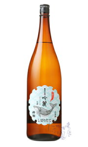 ~ ċ  ڂ肽Đ 1800ml { ~ m