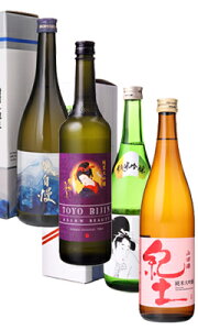 yVsX ̖ ݔ׃Zbg 720ml`750ml 4{ #5