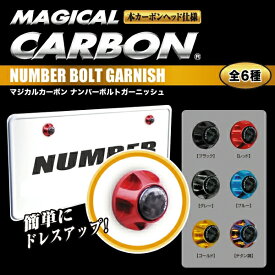 【21％OFFクーポンは27日まで】ナンバーボルトガーニッシュ 2ピース ハセプロ マジカルカーボン