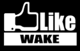 【実質20％は15日まで※エントリー要】ハセプロ LIKEステッカー ダイハツ WAKE LIKE-DH4