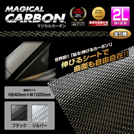 【21％OFFクーポン5/23-27】カーボンシート 2Lサイズ ブラック CA-2L ハセプロ マジカルカーボン