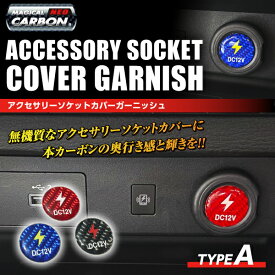 【20％OFFクーポン12-15】ハセプロ マジカルカーボンNEO アクセサリーソケットカバーガーニッシュ TYPE A NASG-1
