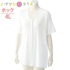 ^b`  OJ fB[X wl p 100%  vX`bNzbN 3 4L 傫 傫TCY t  H ~ p  쉺 OJVc   VjA 38113