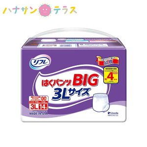  Ic lpނ t ͂pcBIG 3L 14 傫 AR A AƂ A pbh pbg  uhDR[|[V pނ