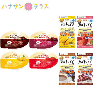 ICI 12̉h{⋋Zbg GlvveCvX4×6 vLAZ4×3 ICIO[v H łԂ jo[TfUCt[h Hi h{⏕ 