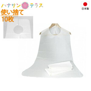  HpGv | ĝ 10 { Hׂڂ  Gv pGv pi lp  VjA