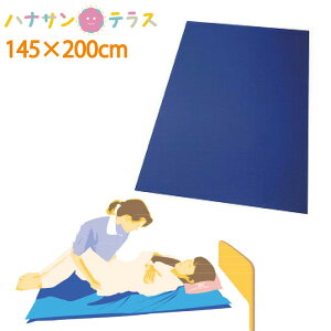 体位変換シート 移乗シート 床ずれ 予防 防止 スマイルシート Lサイズ 青 タイカ 体圧分散 腰痛予防 床ずれ予防 防止 腰痛負担 スライディングシート スライドシート 介護用品※ネコポス対