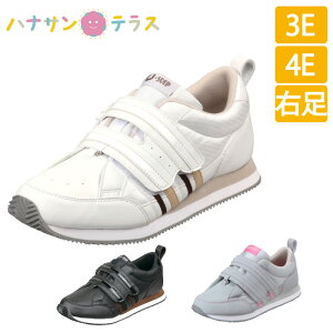  C }WbNe[v wl am  Op VXebv 06 jp 3E 4E E Б 22cm`28cm [X^[ {ݗp @p VjA V[Y PAV[Y nrV[Y pi 