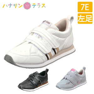  C }WbNe[v wl am  Op VXebv 06 jp 7E  Б 22cm`28cm [X^[ {ݗp @p VjA V[Y PAV[Y nrV[Y pi 