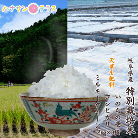 【新米】令和7年産 米 2kg 2キロ × 3種類 6kg いのちの壱 コシヒカリ ミルキークイーン 白米 精米 海藻 肥料 海藻のしずく 岐阜県産 少量 お試し 食べ比べ ポイント消化 高食味 おいしいお米 送料無料