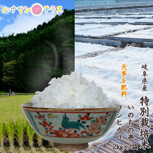 yVāzߘa7NY  2kg 2L × 2 4kg ̂̈ RVqJ   ̓ C 엿 Ĉ 򕌌Y   Hה |Cg H  