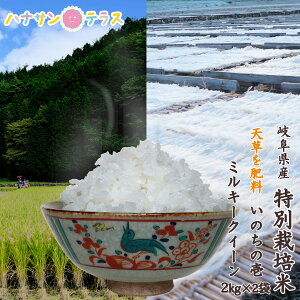 yVāzߘa7NY  2kg 2L × 2 4kg ̂̈ ~L[NC[   ̓ C 엿 Ĉ 򕌌Y   Hה |Cg H  