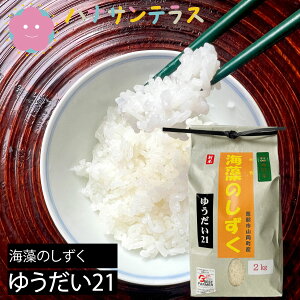 yVāzߘa7NY  2kg 䂤21 ʍ͔|   Fs{w̍LȔ_ŋR܂ꂽ C 엿 Ĉ 򕌌Y   H  