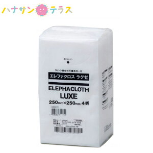 Gt@NX O[ 200 nN]EfBJ@ȍ@sDz K[[ z ᔭo \tg