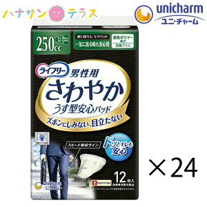 Ct[ ₩pbhjp Cɏo鎞Sp 250cc 12 24 288 1P[X  jE`[ L pbh lp AƂ AR A  p ނ