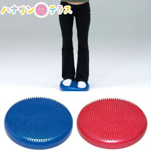  \h nre[V oXNbV g[GCCg ̊ oXfBXN g[jOObY  \h 炭炭 g[jO  { a@ pi