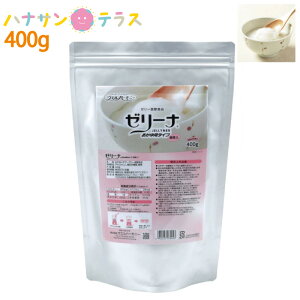 H [[i p^Cv 400g EGn[j[ { [[ 쐬 [[Hi yf