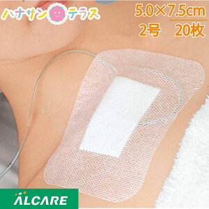 VL[|AhbVO 2 5.0×7.5cm 20 APA npShbVO q 핢 Jnp hbVO ʋC 畆h h~ ጗\h h~V[g 