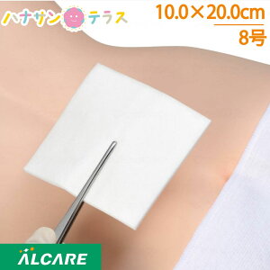 f}GCh 8 10.0×20.0cm 100 APA npzpbh ŋۍς z җp