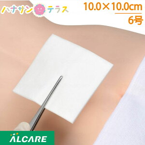 f}GCh 6 10.0×10.0cm 100 APA npzpbh ŋۍς z җp